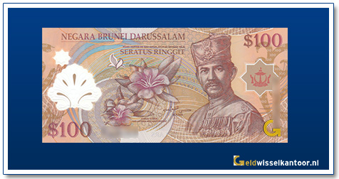 Brunei-100-Ringgit-Hassanal-Bolkiah-2004